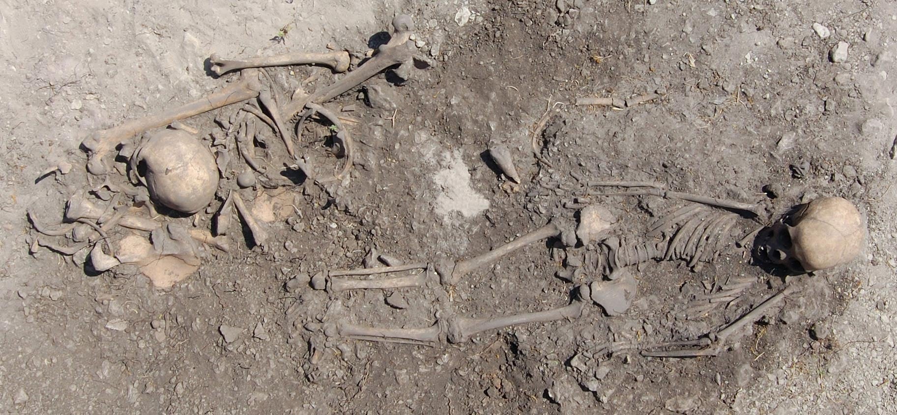 💀 Tombes préhistoriques: l'ADN analysé surprend les chercheurs