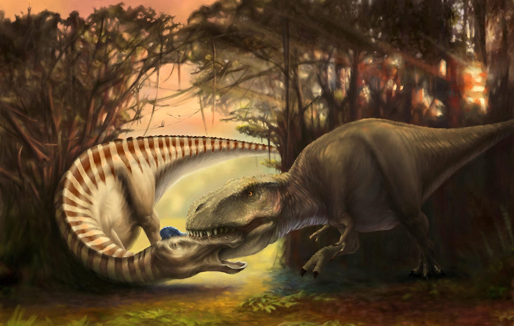 🦖 Um dente de Tiranossauro cravado no crânio de um grande herbívoro