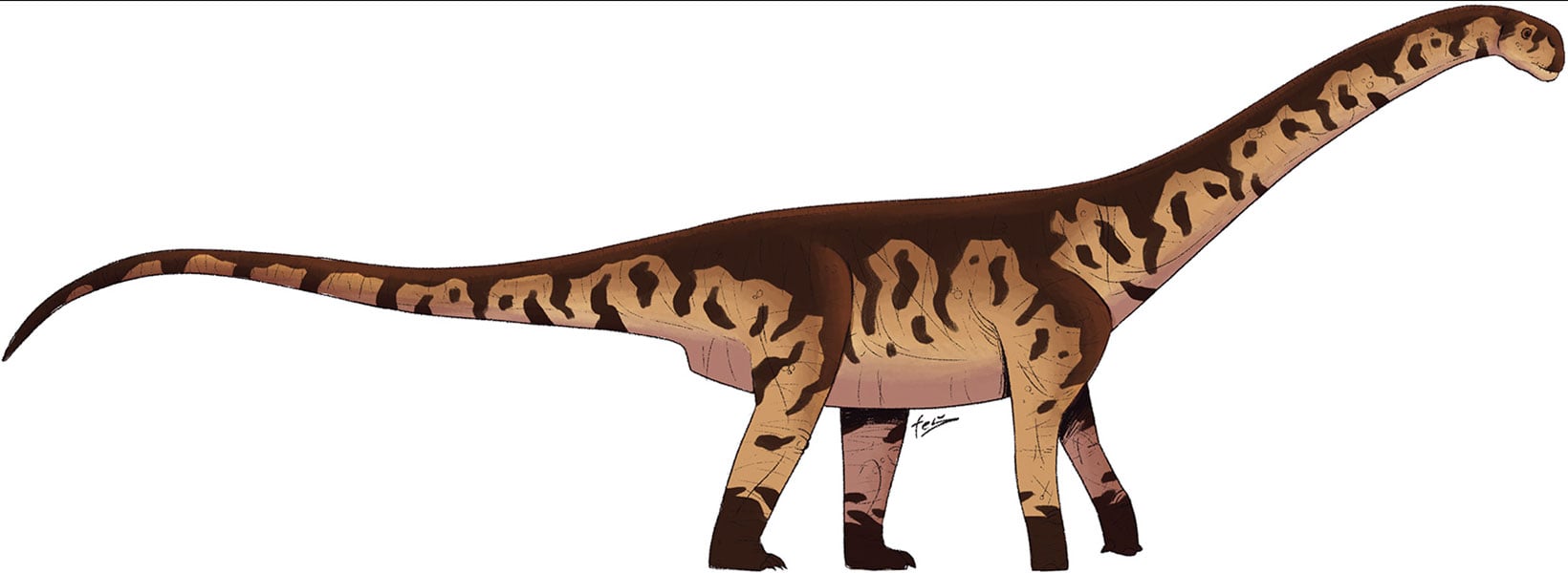 🦕 Um curioso dinossauro gigante argentino, mistura de duas grandes famílias