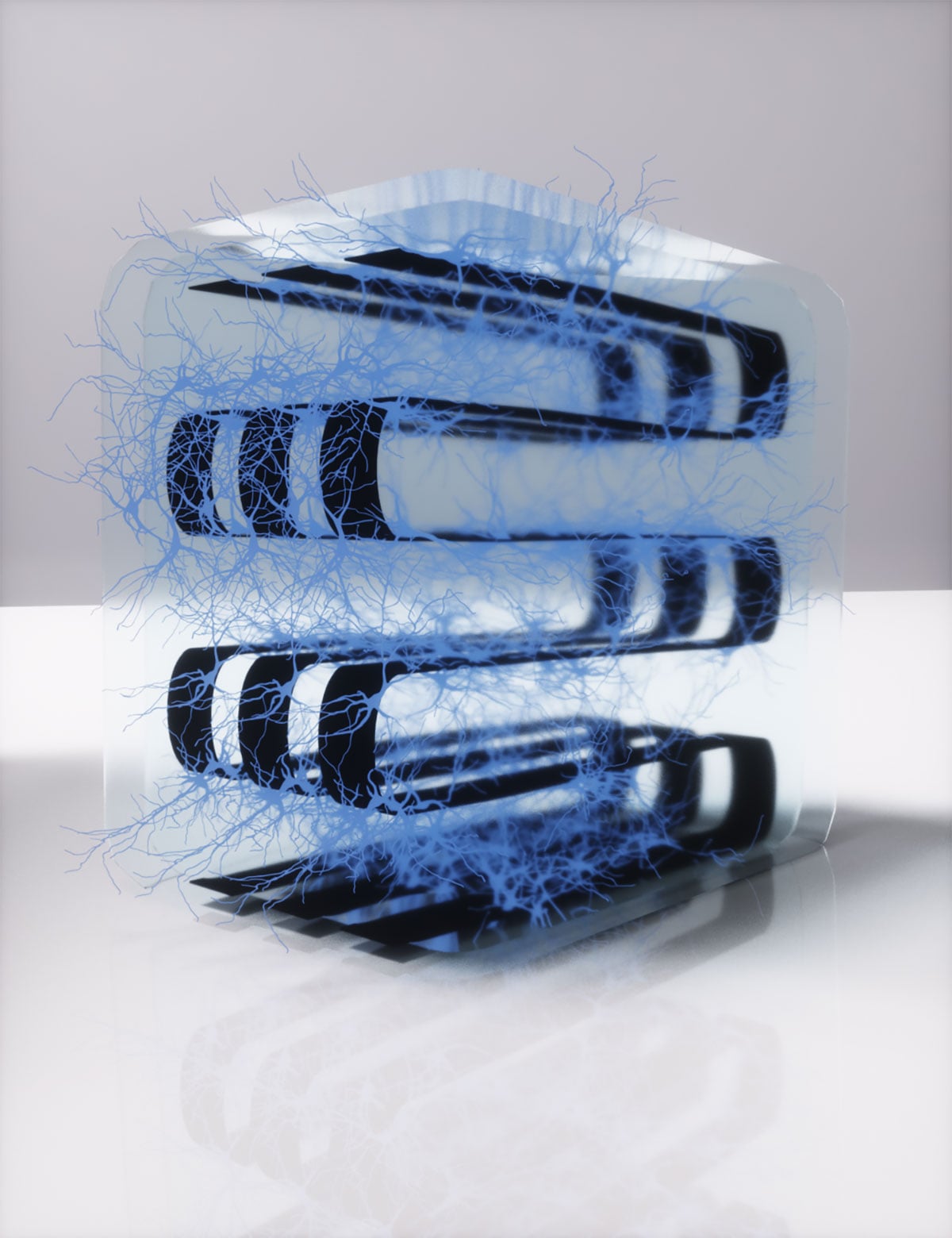 🧠 Voici le premier réseau de neurones vivants en 3D pour l'IA