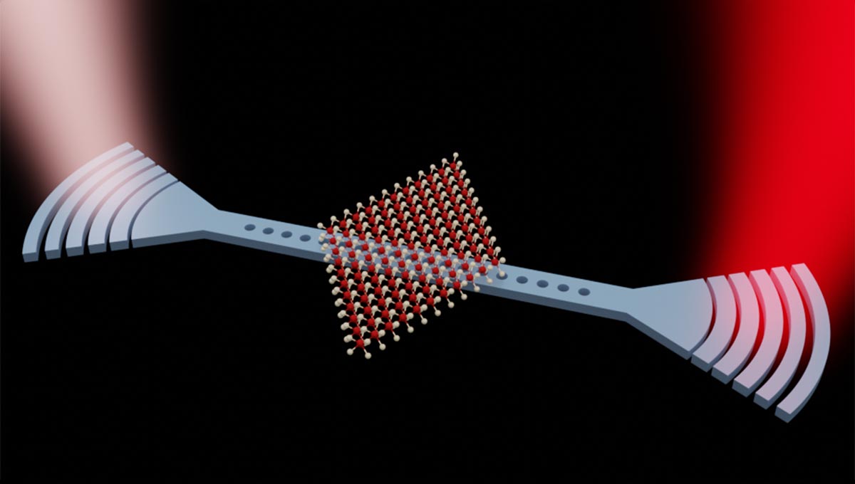 ⚡ AI at the speed of light: it's possible
