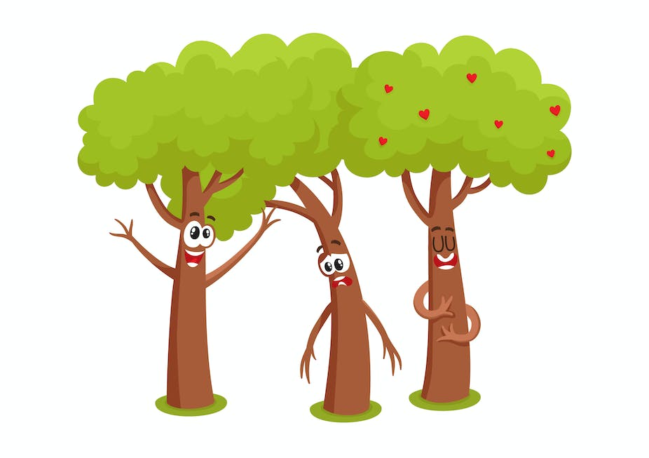 Les arbres peuvent-ils communiquer entre eux ?