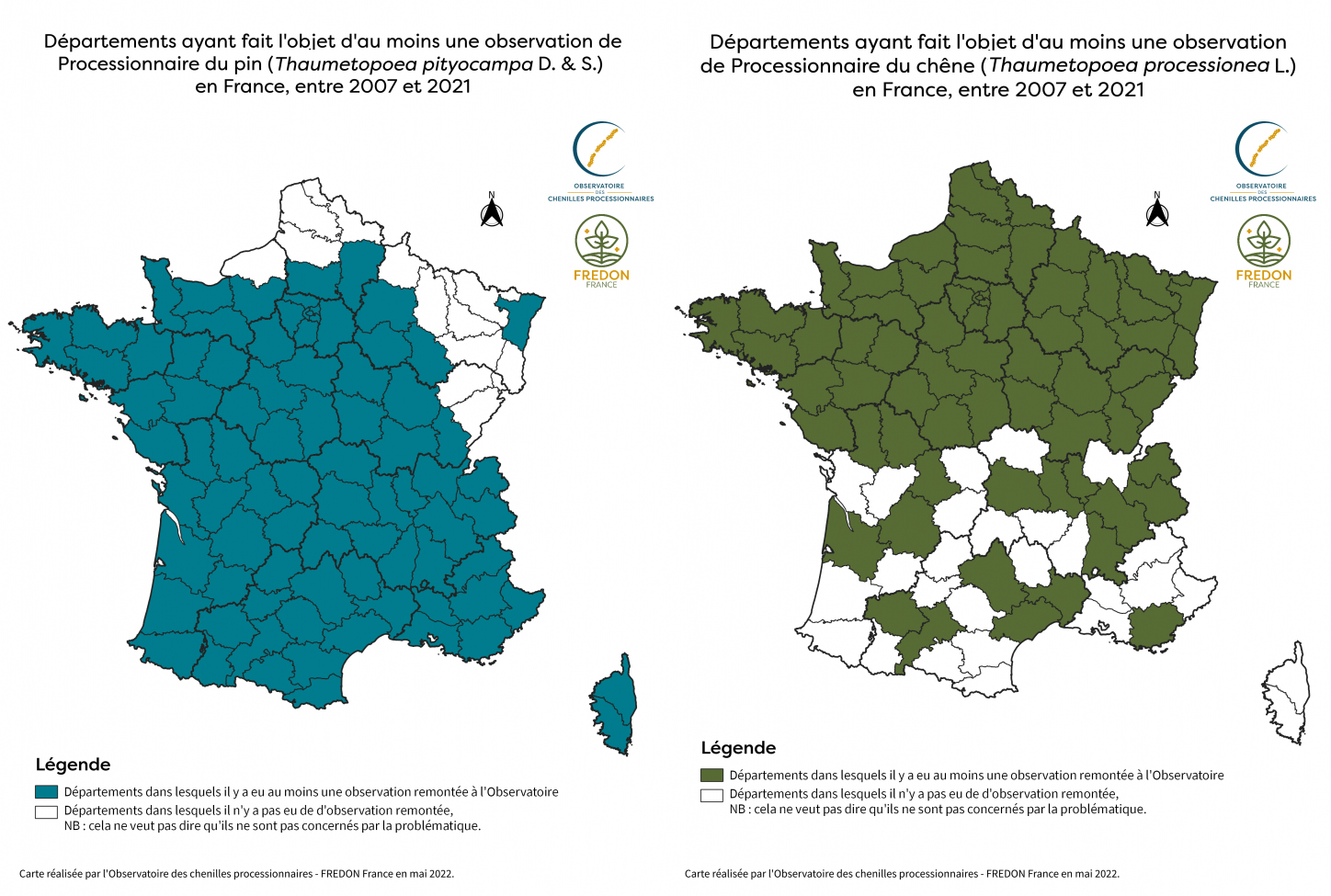 Ces chenilles urticantes à ne pas toucher ni approcher !
