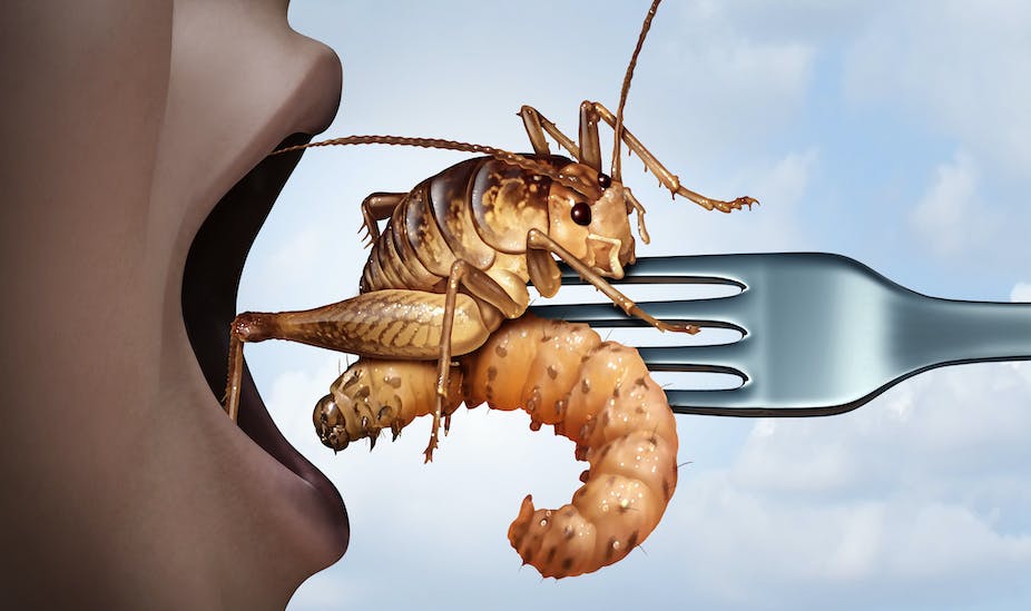 Les enfants sont-ils prêts à manger des insectes ?