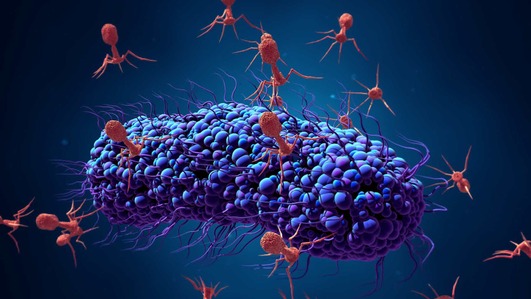 10000 espèces de virus, la plupart inconnues, découvertes dans les selles de bébés