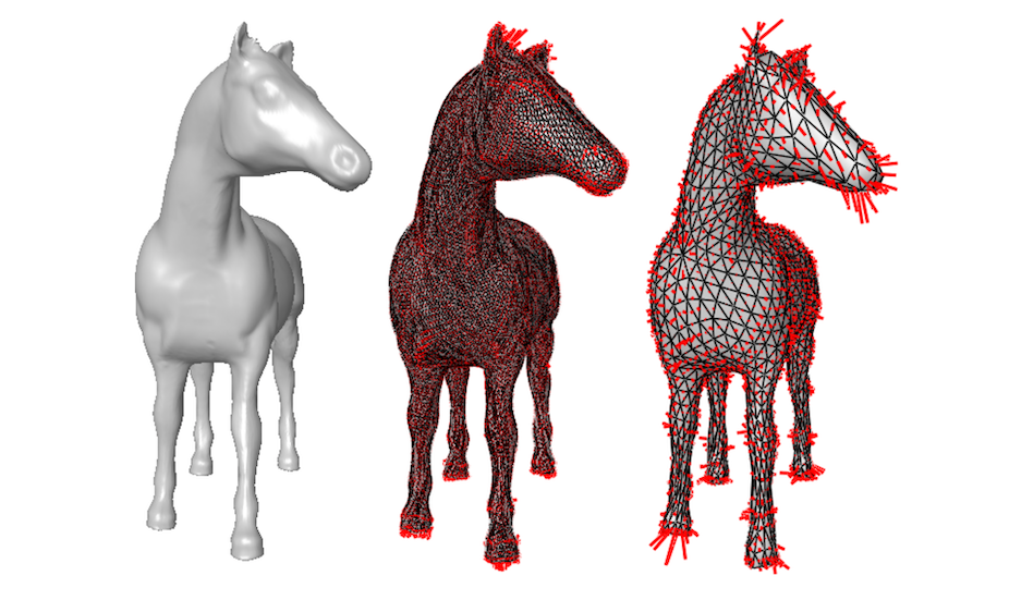 Triangles et poils rouges: les maths de la 3D