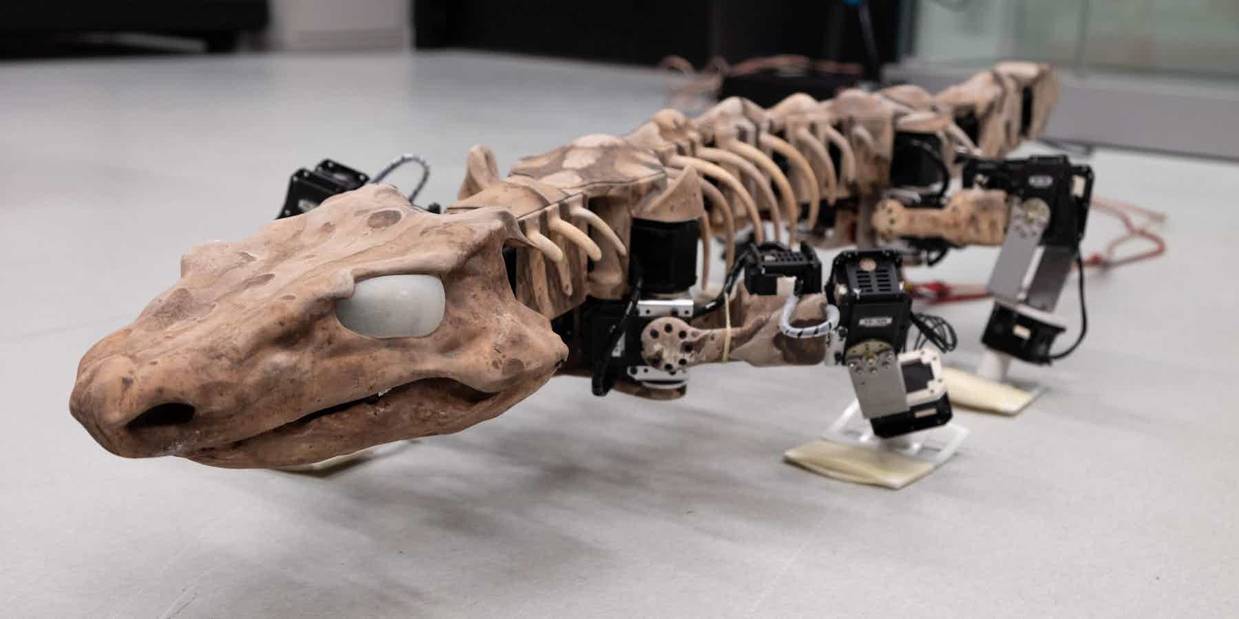 Dans la jungle des robots bio-inspirés