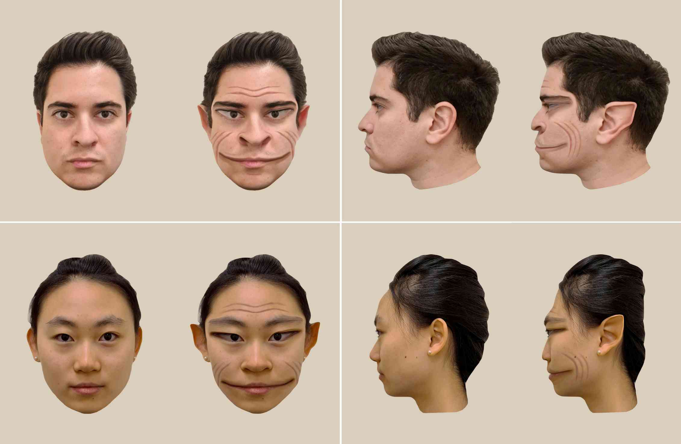 Quand le cerveau ne perçoit que des visages distordus: la prosopométamorphopsie