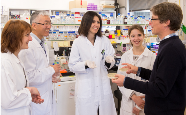 Recherche sur les bactéries résistantes aux antibiotiques