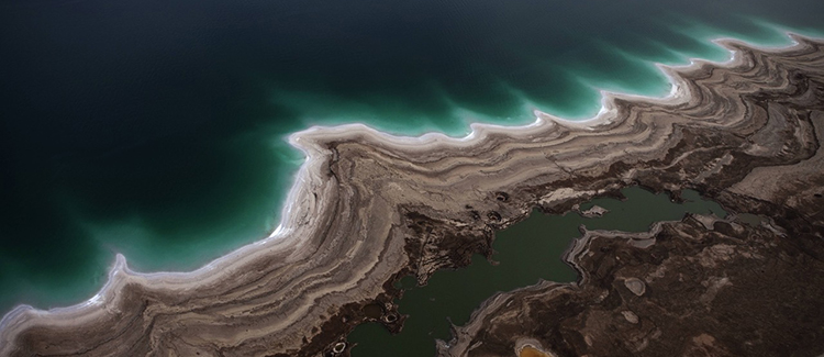 La nécrophagie pour survivre à la Mer Morte