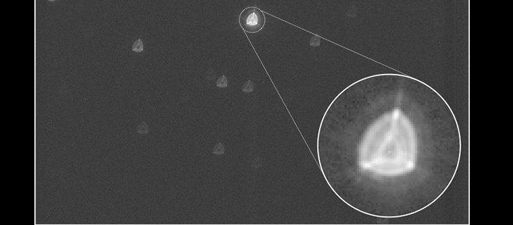 Ce premier cliché du télescope spatial CHEOPS surprend les chercheurs