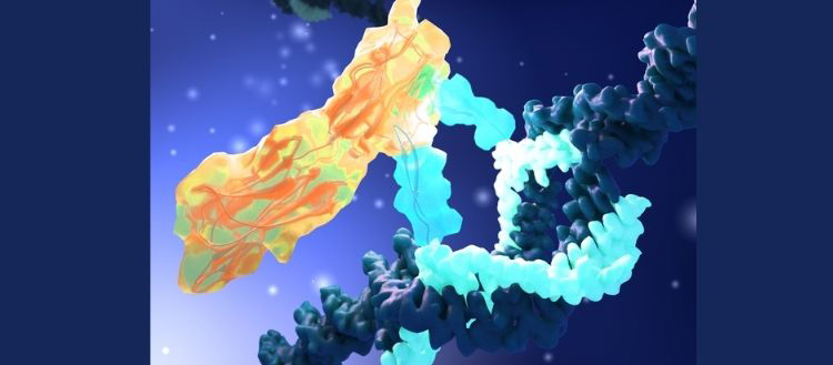 Découvrir de nouveaux médicaments grâce à Darwin