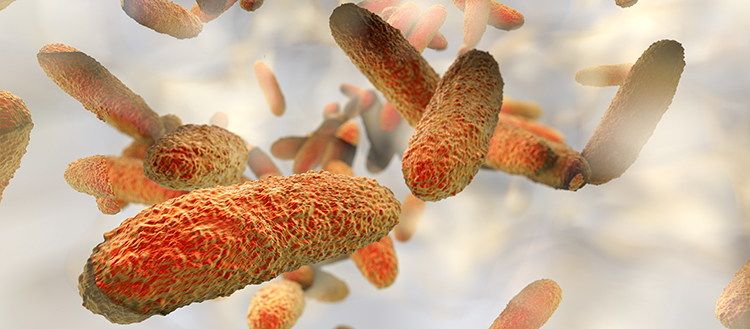 Une nouvelle arme contre les bactéries antibiorésistantes