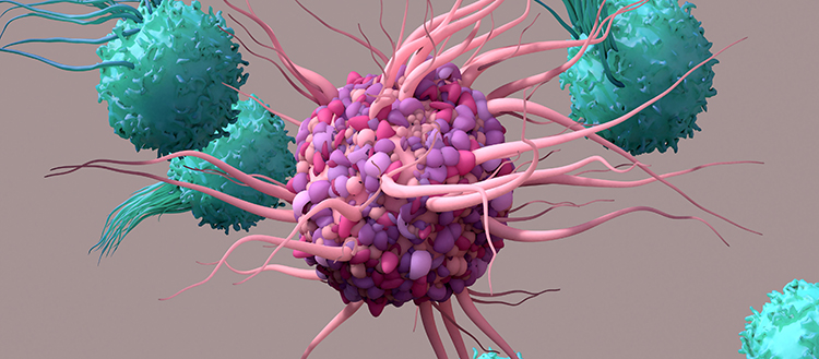 La lutte contre le cancer est plus efficace à l’aube