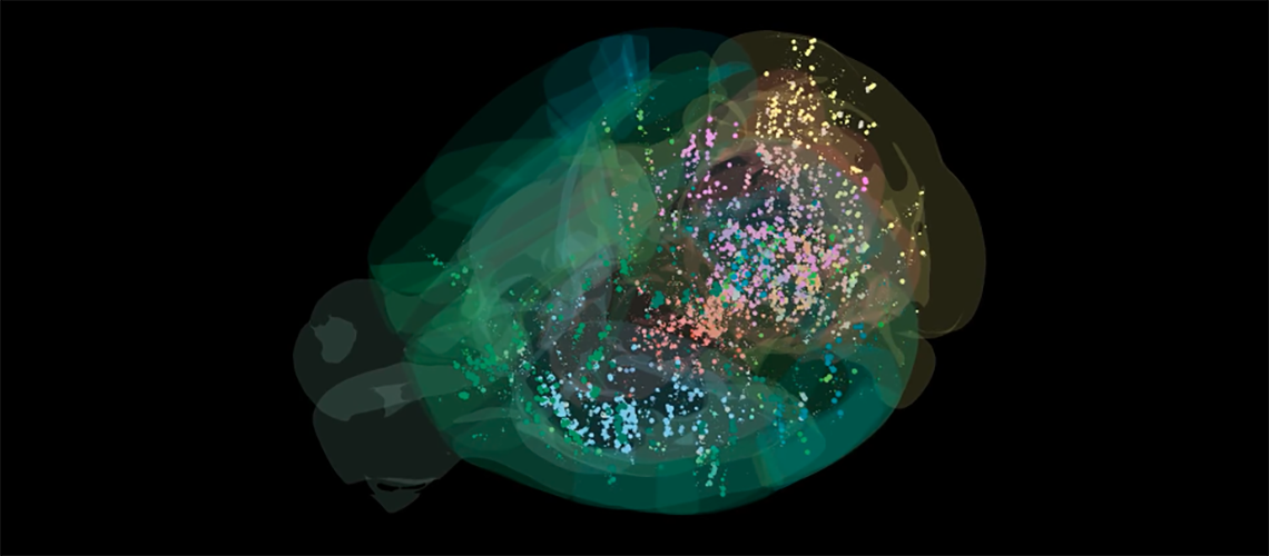 🧠 The complete brain map of our decision-making