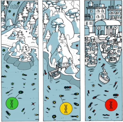 Surveiller l’environnement grâce à l’intelligence artificielle