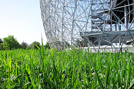 Dépolluer les sols une molécule à la fois