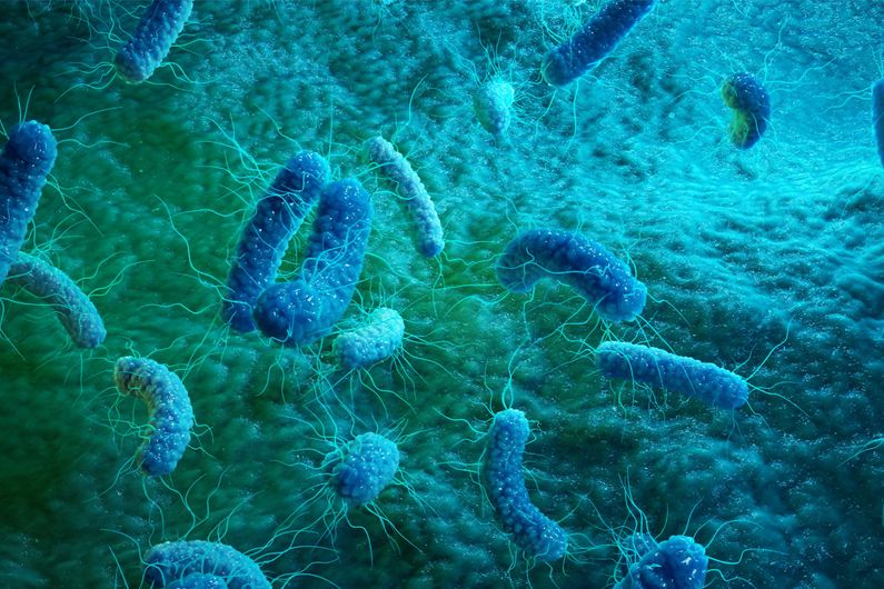 Tuberculose: découverte d’une lignée ancestrale dans la région des Grands lacs africains