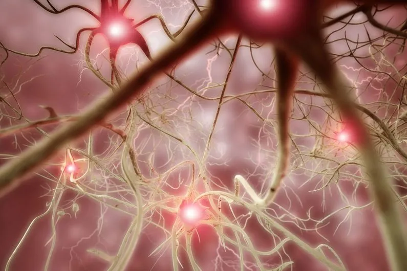 Des mutations dans un gène causent deux maladies neurologiques distinctes... et rares