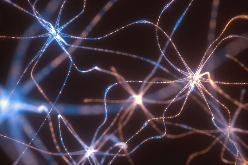 Régénérer les neurones perdus, un pari réussi pour la recherche