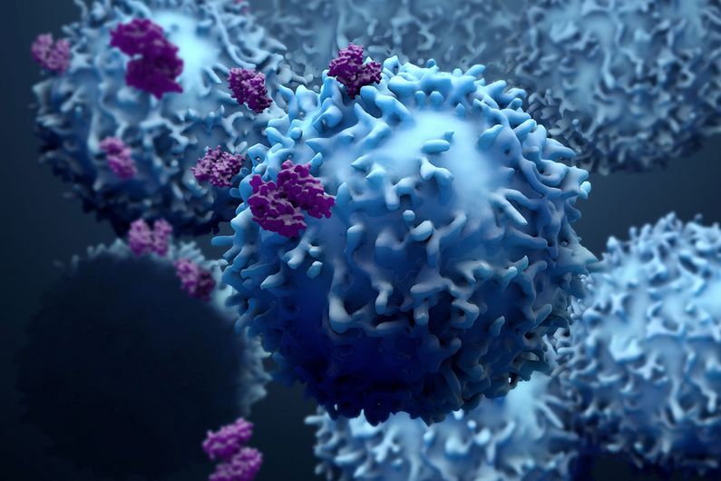 Cancer: la signature d’une réponse immunitaire inefficace révélée
