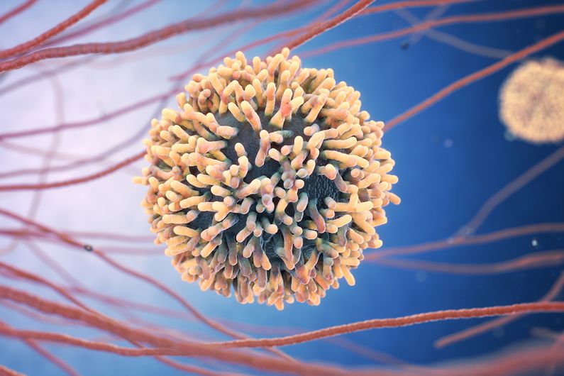 VIH: des trous laissés dans le système immunitaire malgré la trithérapie