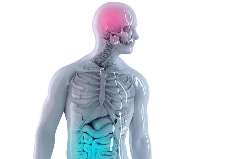 La maladie de Parkinson pourrait-elle être déclenchée par une infection intestinale ?