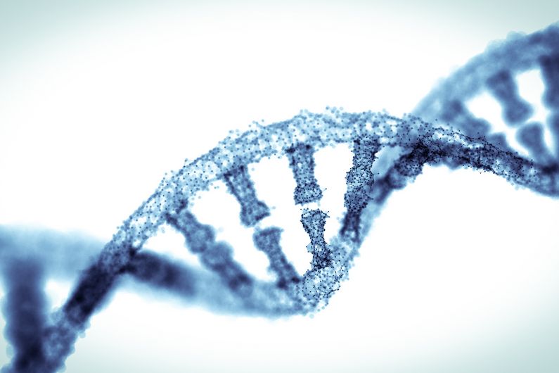 Une découverte qui pourrait permettre d'atténuer l’inflammation liée à l’âge