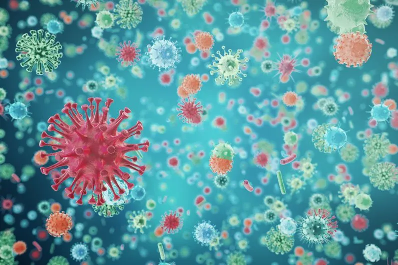 Des microbes communs favorisent la persistance du VIH
