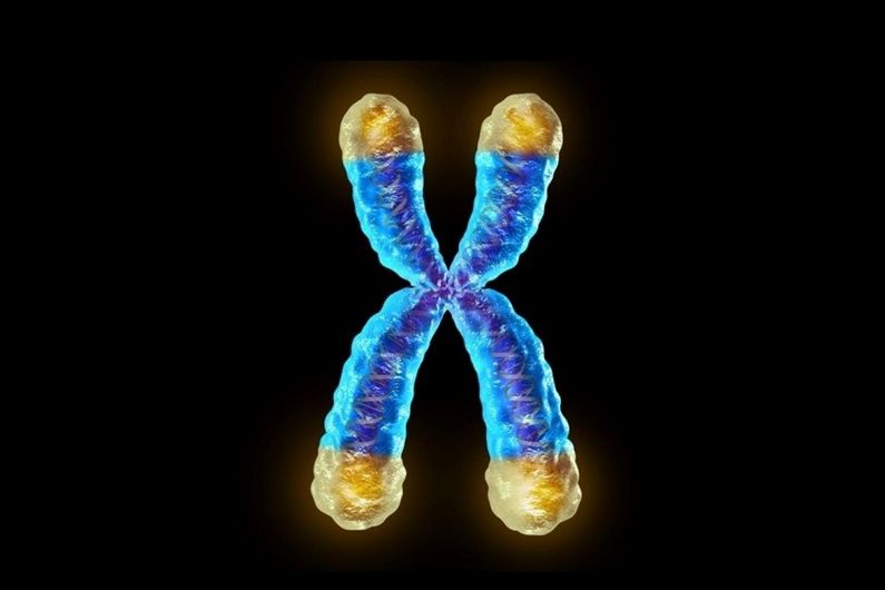 Vieillissement cellulaire: un paradoxe fondamental élucidé