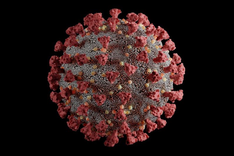 Covid-19: Une vieille molécule efficace contre tous les variants du SRAS-CoV-2 ?