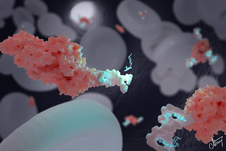 Des nanotransporteurs d’ADN pour traiter le cancer
