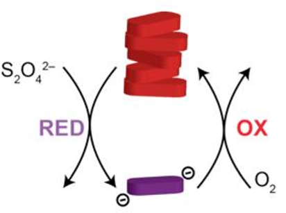 Microtubules artificiels oscillants