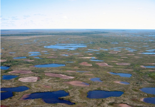 Depuis 200 ans, les lacs des régions subarctiques s'assèchent