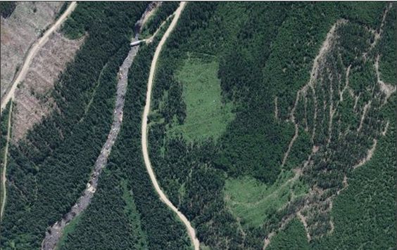 Un nouveau système pour déterminer l'âge des forêts