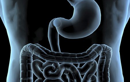 Antibiotiques et flore intestinale
