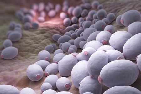 Infections: sous le radar médical