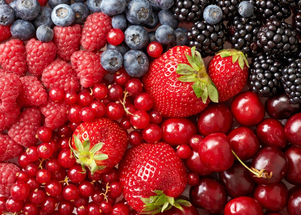 Des fruits pour la mémoire