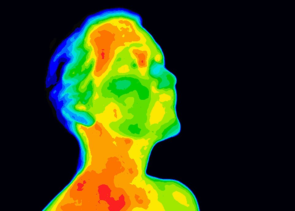 Le feu intérieur contre l’alzheimer