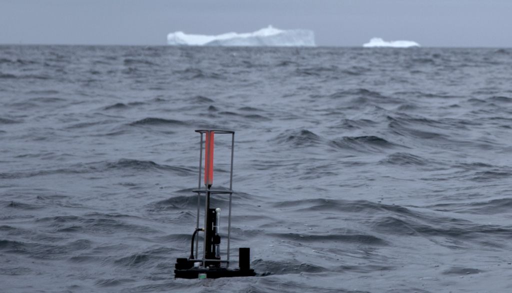Le phytoplancton arctique croît pendant la nuit polaire