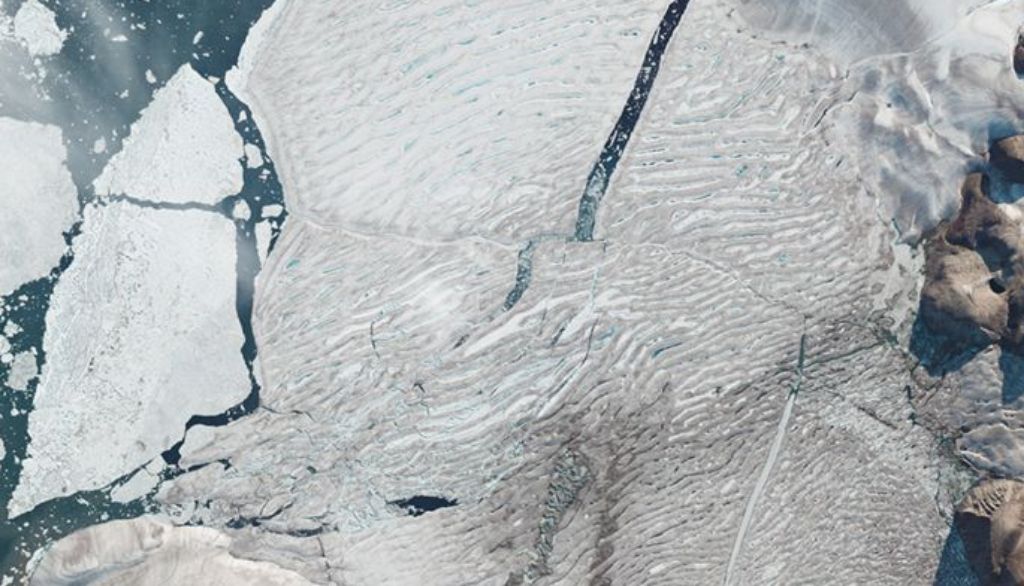 Il faut sauver les derniers habitats glaciaires de l'Extrême-Arctique