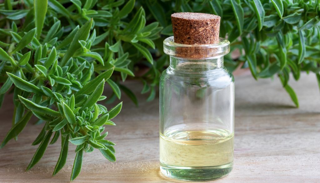 Mauvaise haleine: des huiles essentielles efficaces