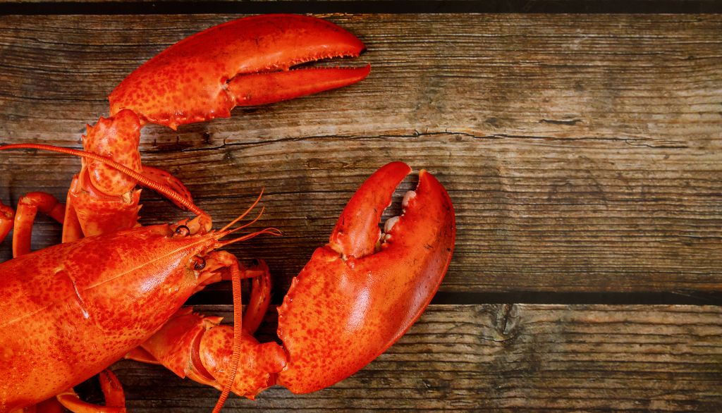 Des cubes de homard pour recréer le goût de la mer ?