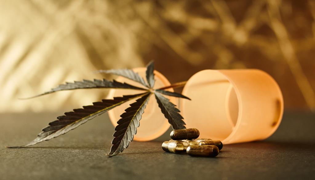 Le cannabis médicinal engendre des maladies cardiovasculaires graves