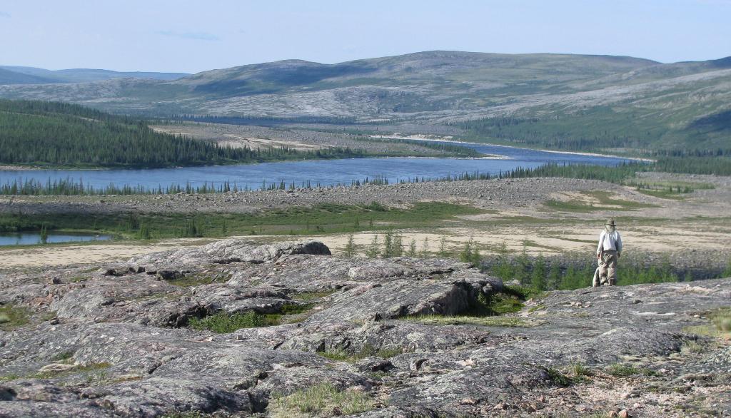 Changements climatiques: les arbres devraient migrer à petite vitesse en forêt boréale