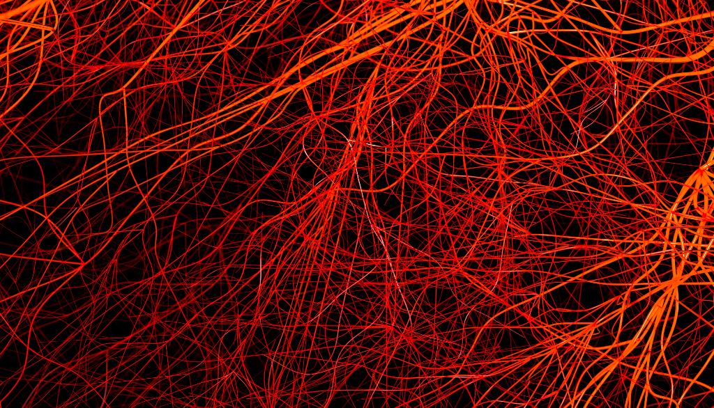 L'alzheimer associé à la perte de récepteurs de l'insuline dans les microvaisseaux sanguins du cerveau