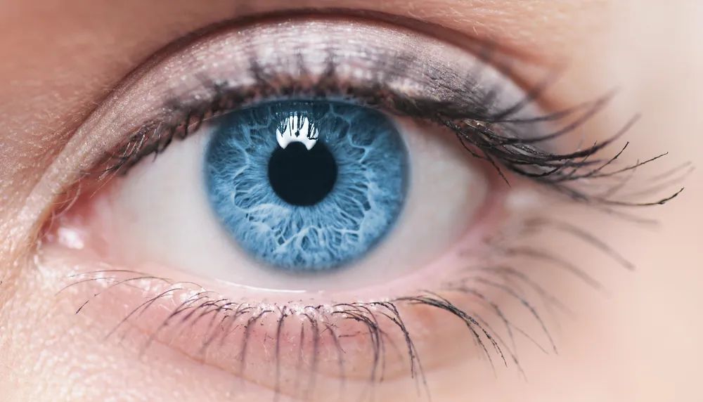 Ce produit améliorant l'apparence des cils pourrait traiter l'obésité