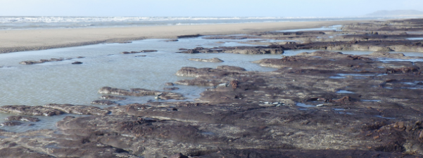 Mer du Nord : d’importantes émissions de méthane