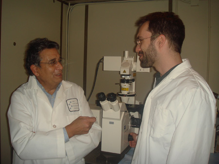 Le processus de dégénérescence à l'origine de l'Alzheimer