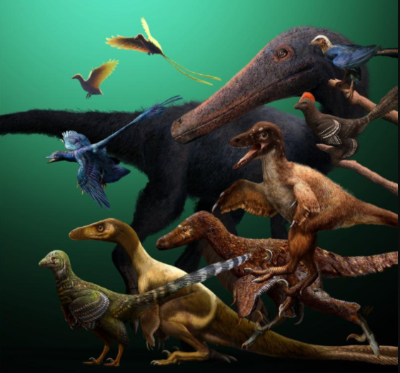 Avant d’être des oiseaux, certains dinosaures pouvaient voler
